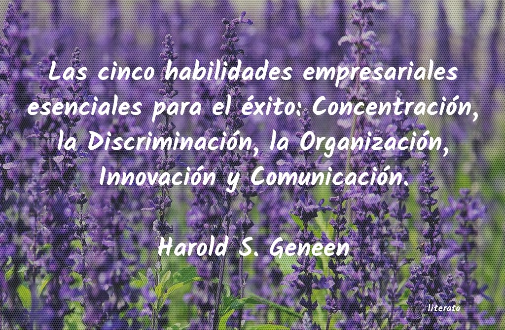 Frases de Harold S. Geneen