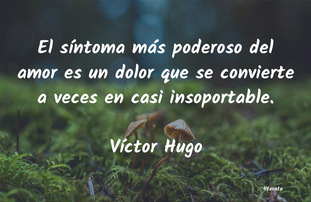 Frases de Víctor Hugo