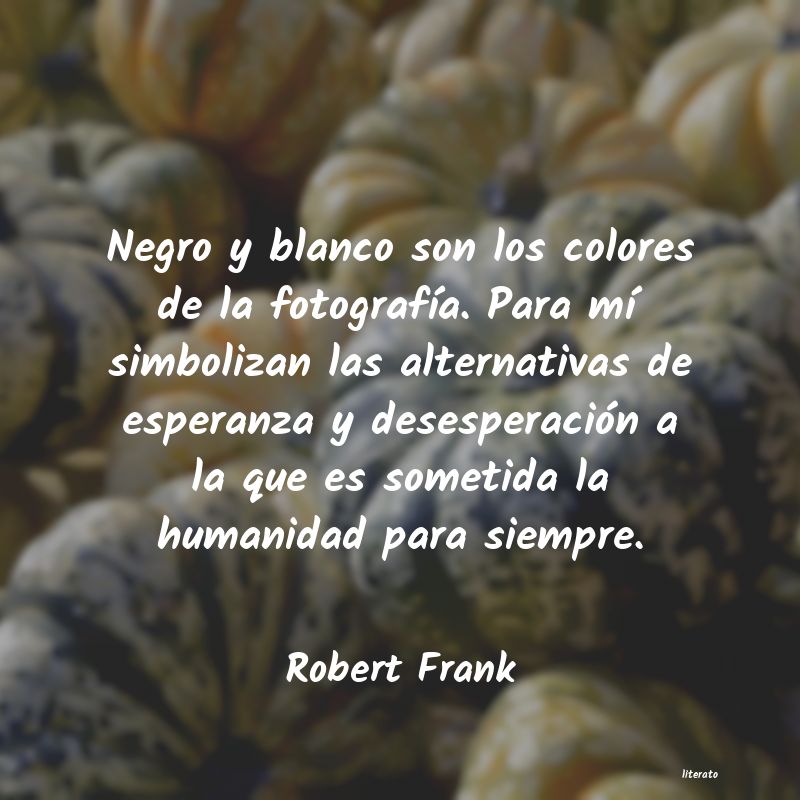 Frases de Robert Frank