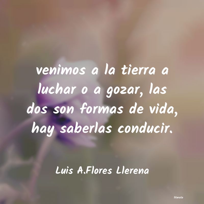 frases de Luis A.Flores Llerena