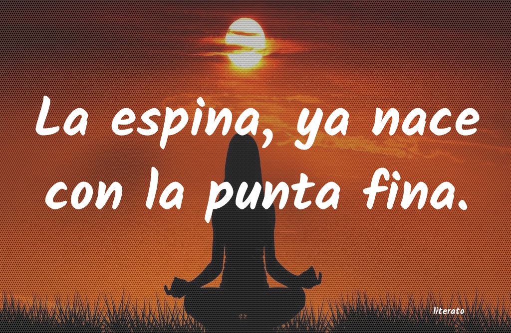 frases