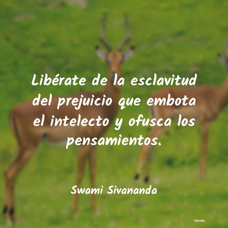 Frases de Swami Sivananda