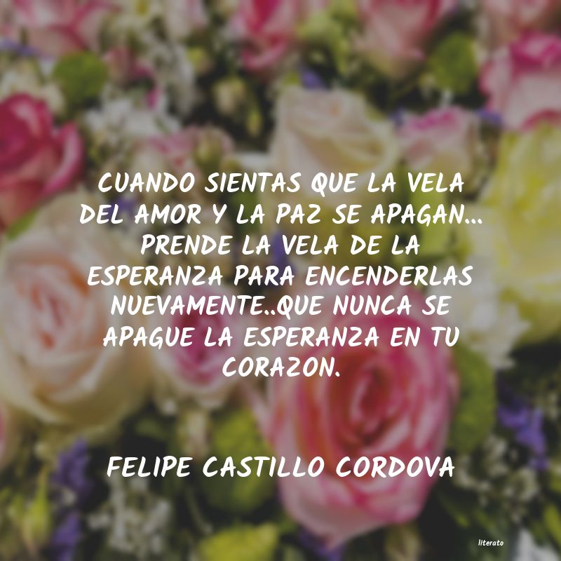 Frases de FELIPE CASTILLO CORDOVA