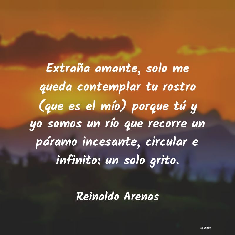 frases de Reinaldo Arenas