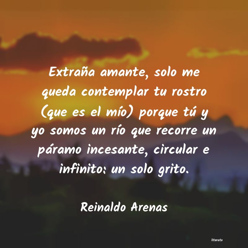 Frases de Reinaldo Arenas