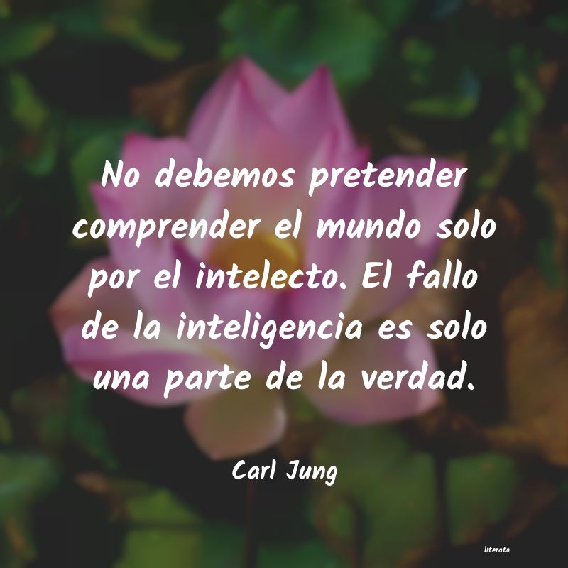 carl jung sentido