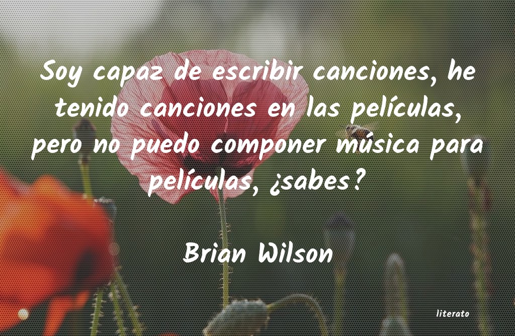 Frases de Brian Wilson