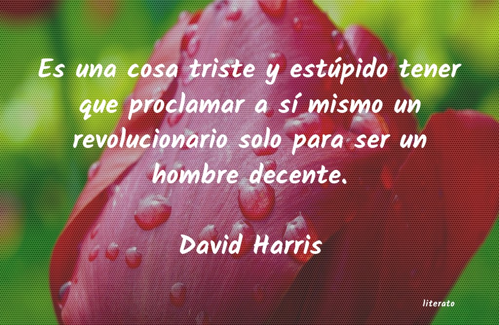 Frases de David Harris
