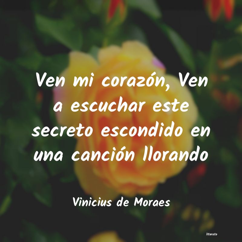 Frases de Vinicius de Moraes