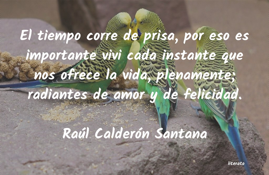 Frases de Raúl Calderón Santana
