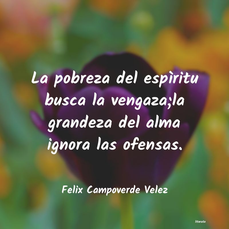 Frases de Felix Campoverde Velez