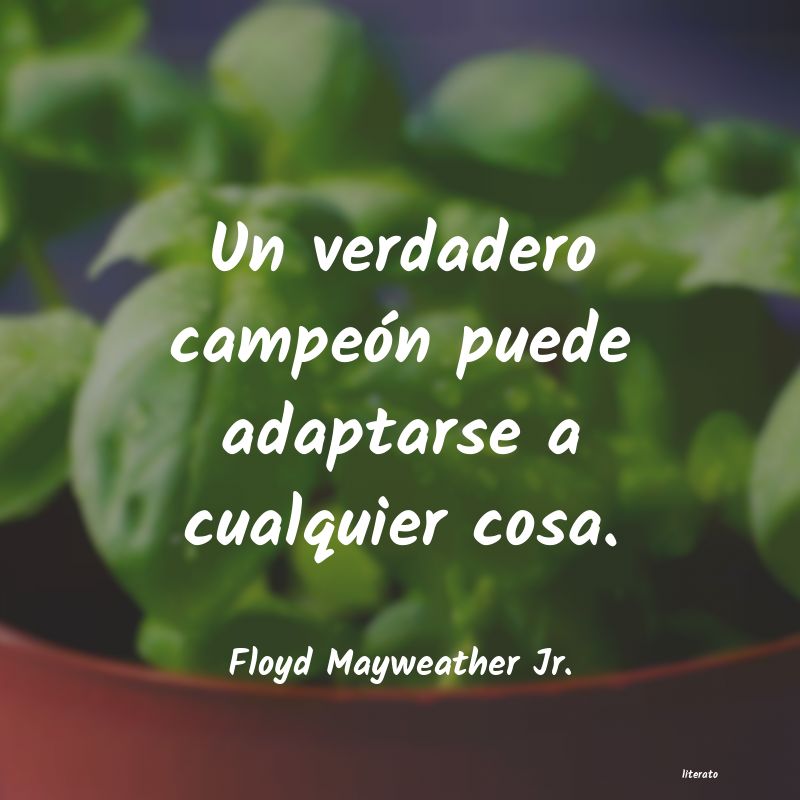 Frases de Floyd Mayweather Jr.