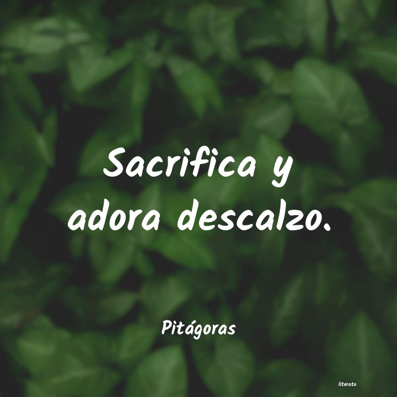 frases de Pitágoras