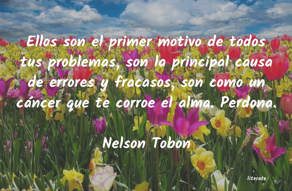 Frases de Nelson Tobon