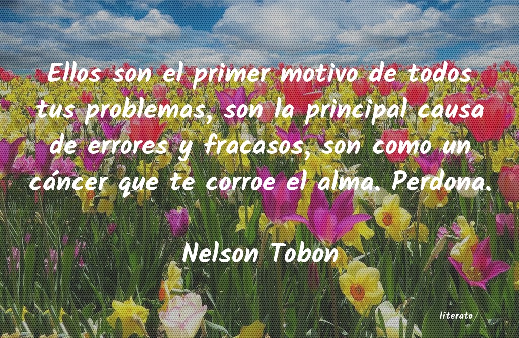 frases de Nelson Tobon