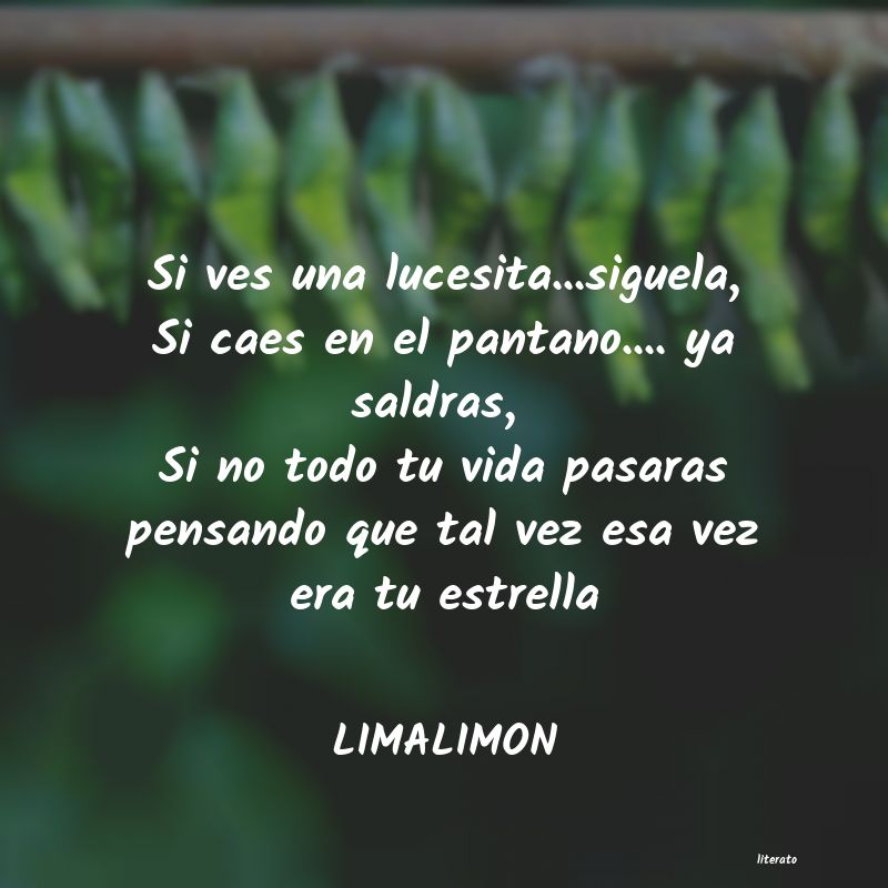 Frases de LIMALIMON