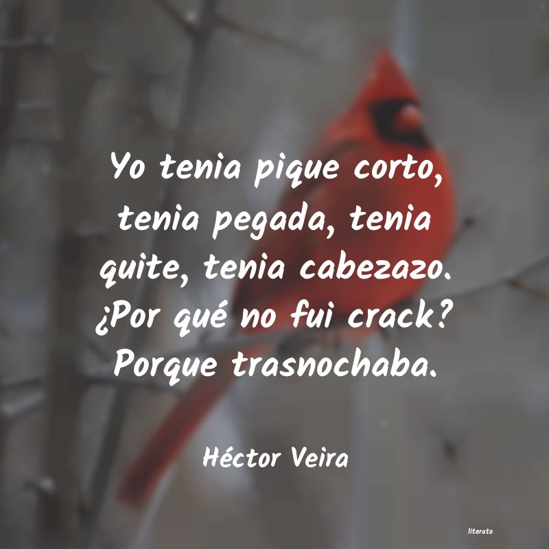 frases de Héctor Veira