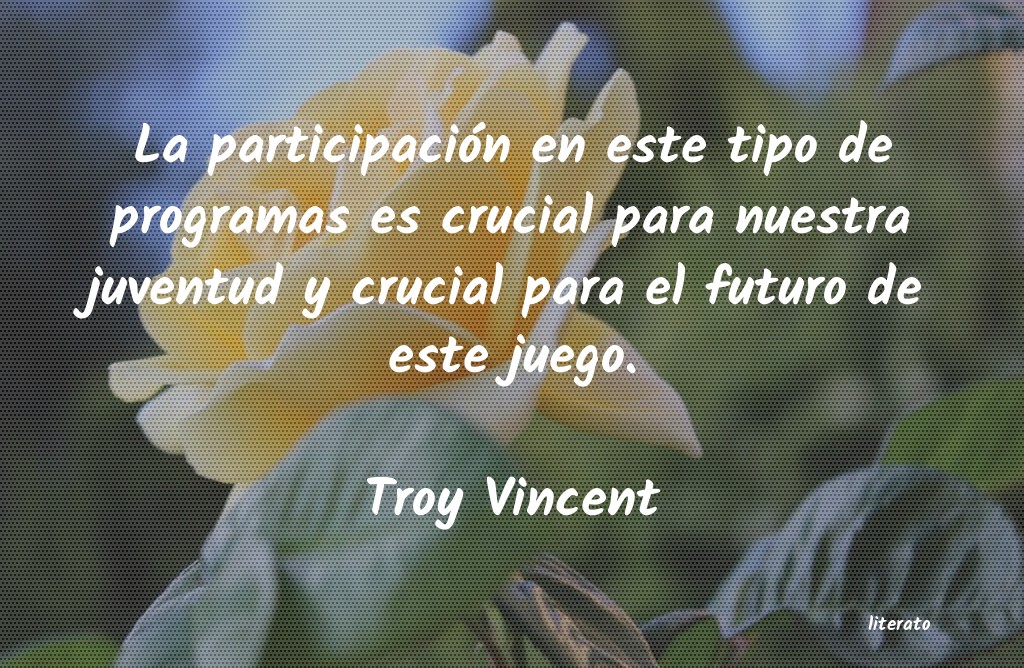 Frases de Troy Vincent