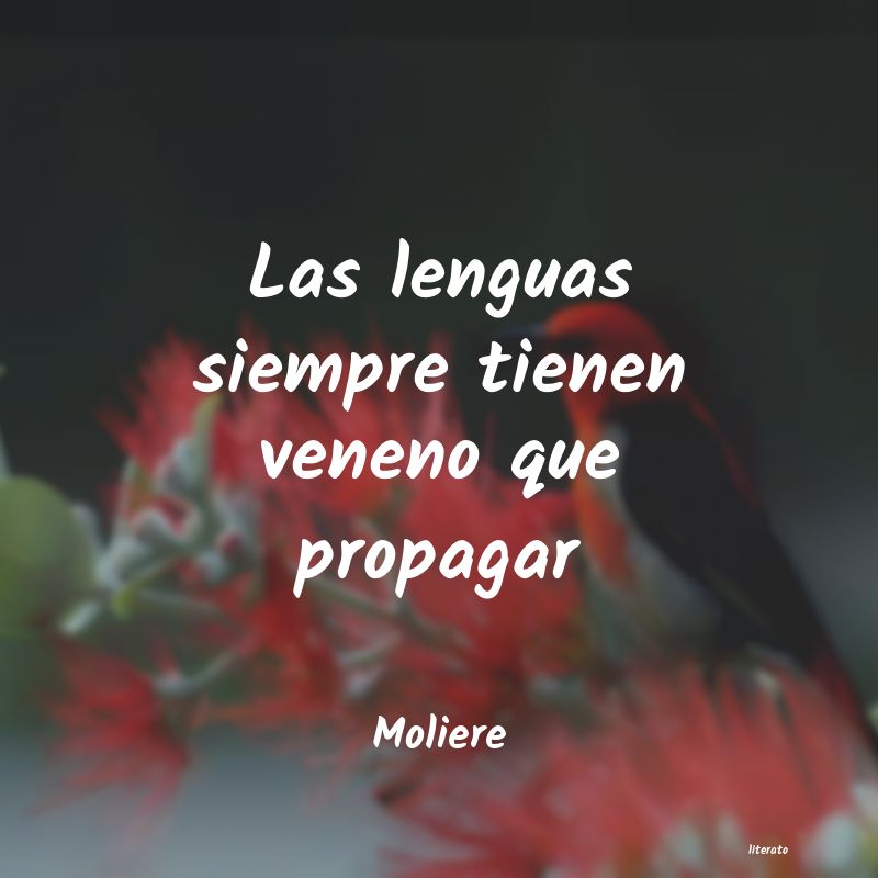 Frases de Moliere