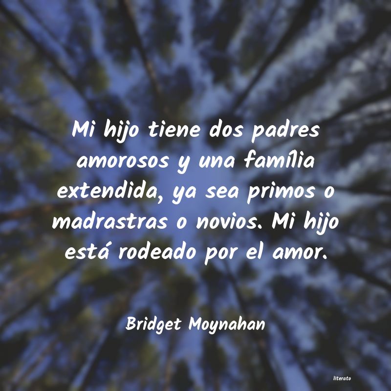 frases de Bridget Moynahan