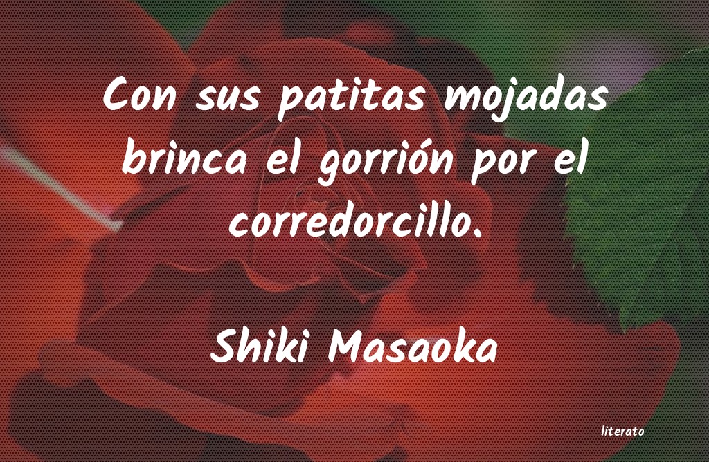 frases de Shiki Masaoka