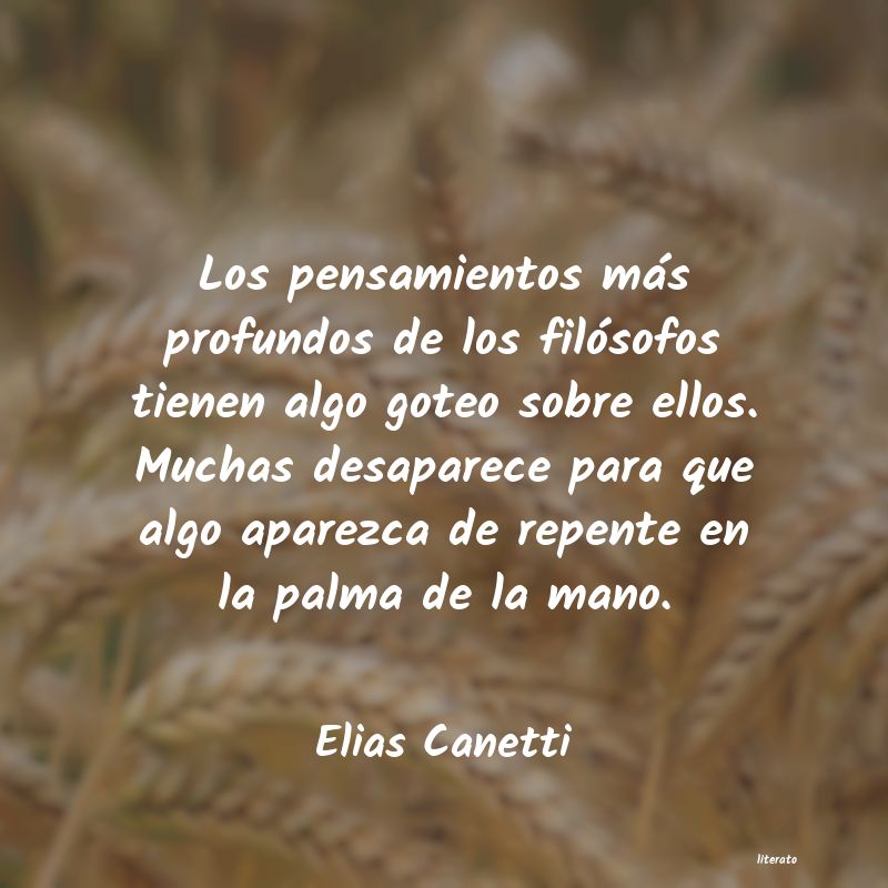 elias canetti conocimiento conocer mejor