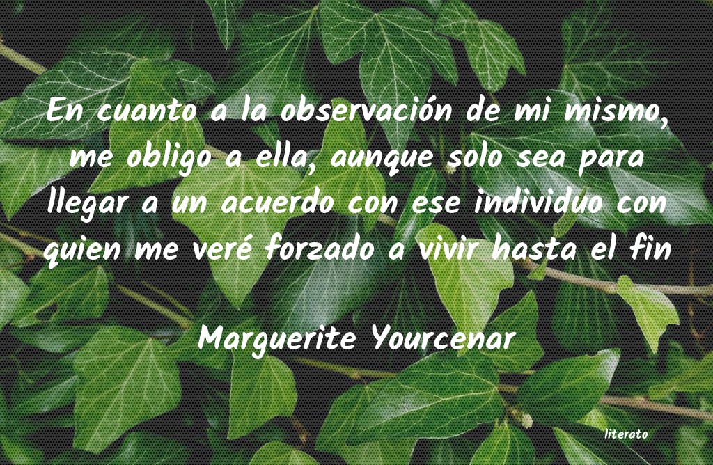 Frases de Marguerite Yourcenar