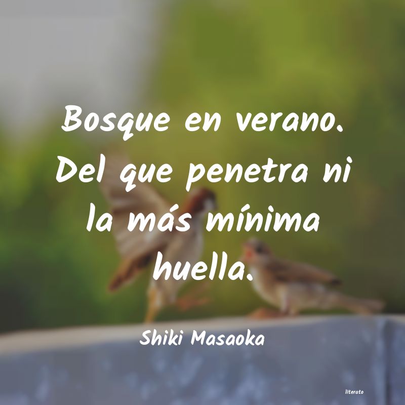 Frases de Shiki Masaoka