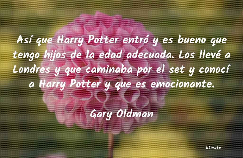 frases de Gary Oldman