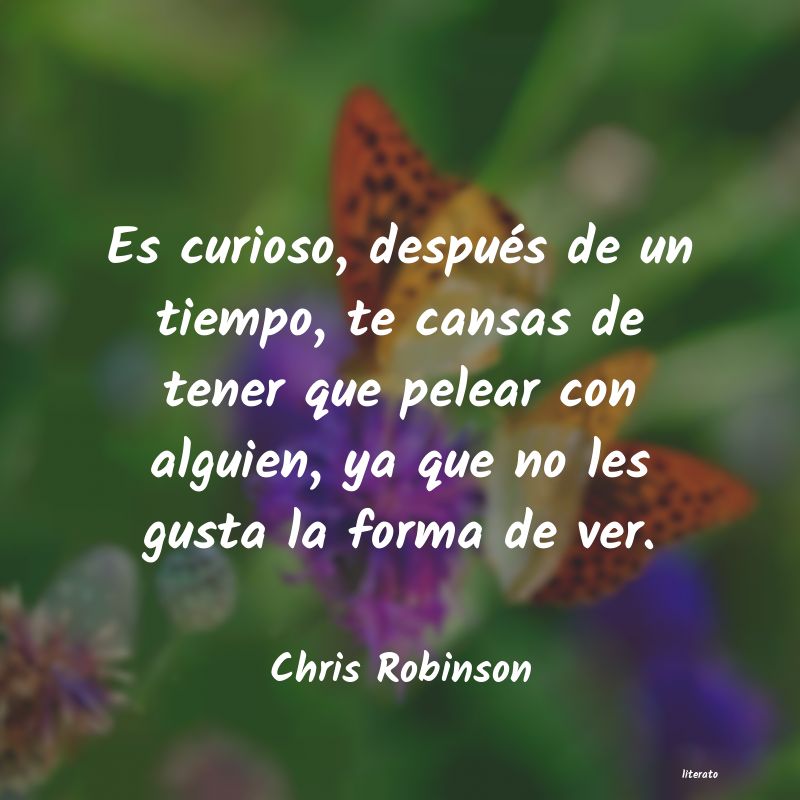 Frases de Chris Robinson