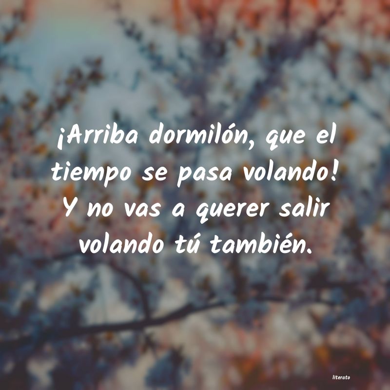 frases