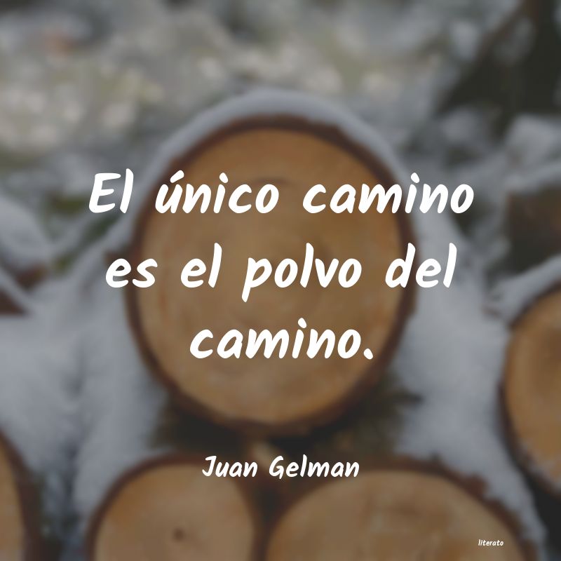 Frases de Juan Gelman