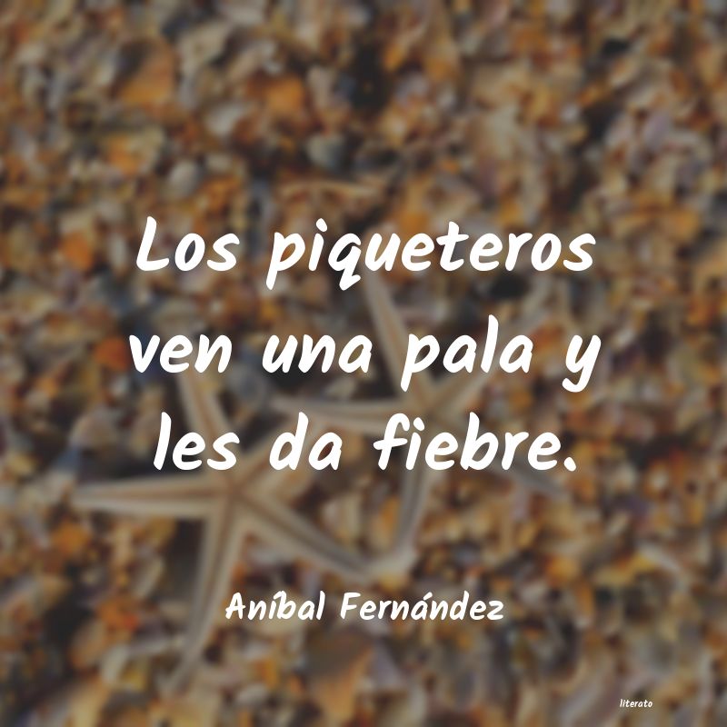 Frases de Aníbal Fernández