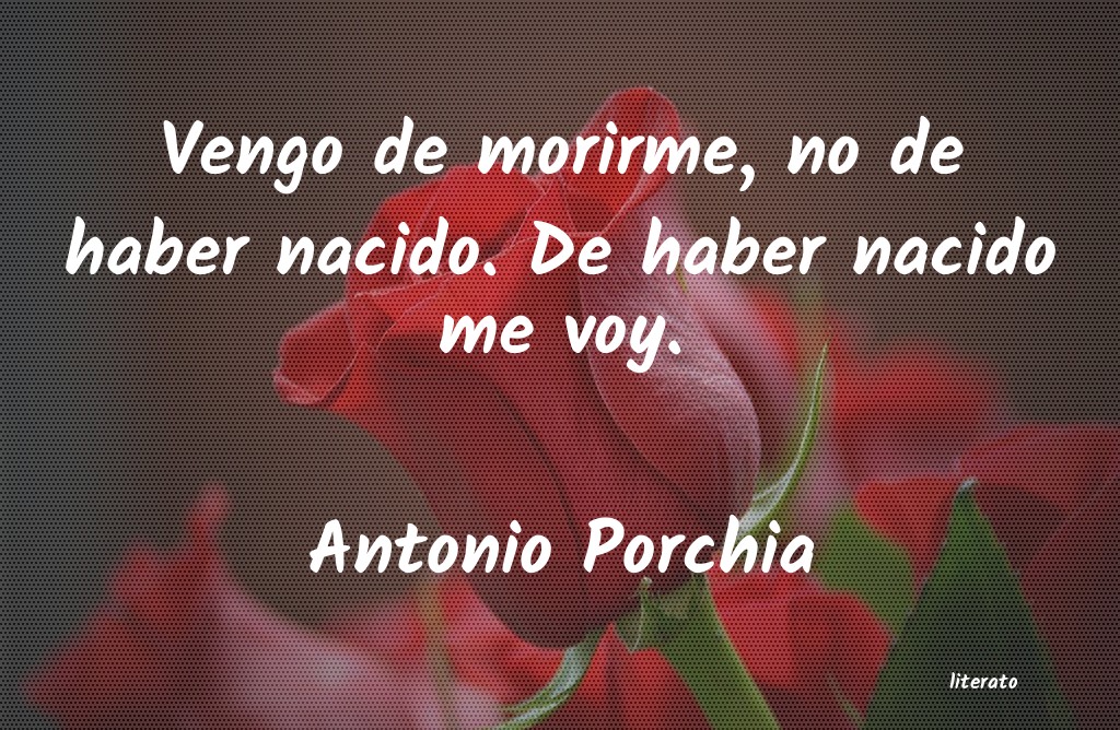 Frases de Antonio Porchia