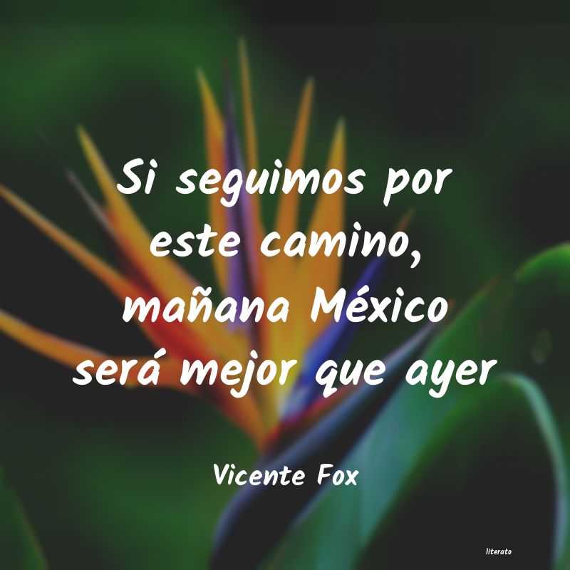 Frases de Vicente Fox