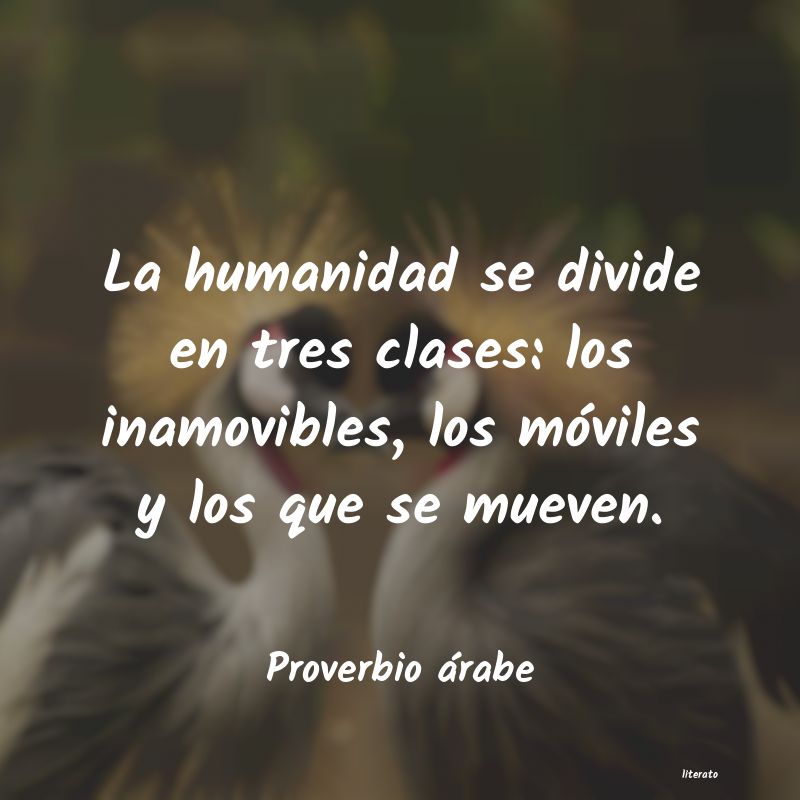 Frases de Proverbio árabe