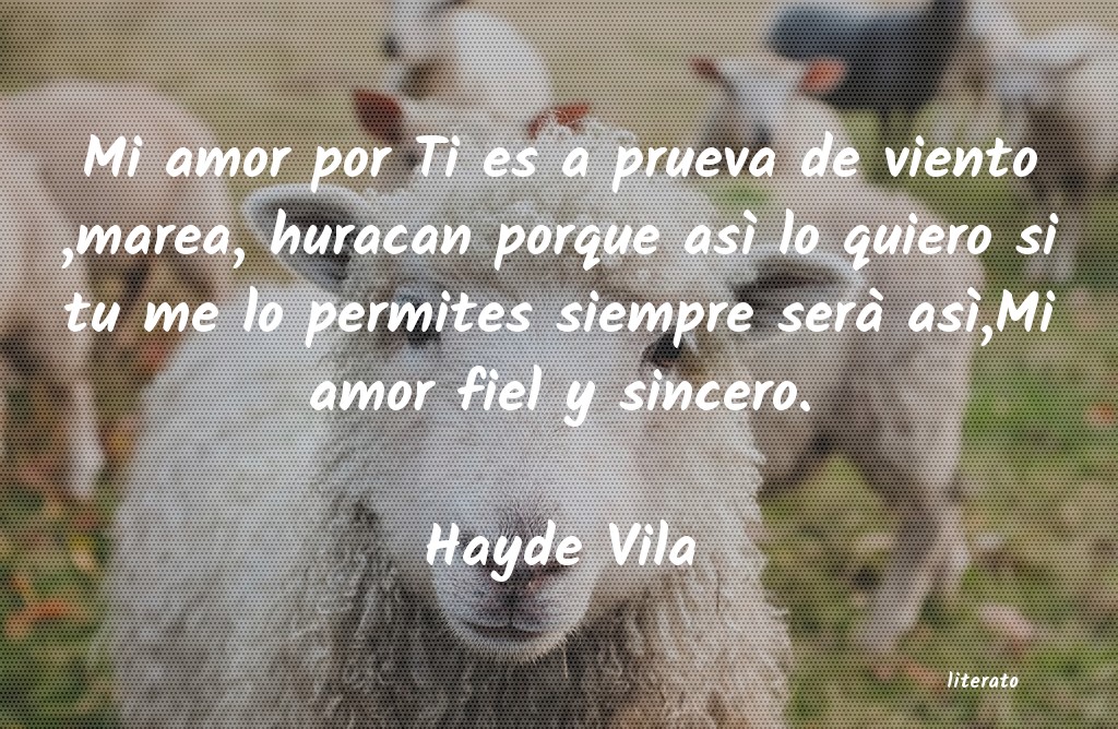 Frases de Hayde Vila