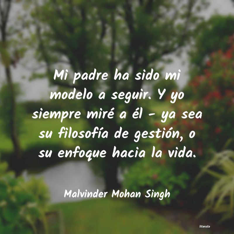 Frases de Malvinder Mohan Singh