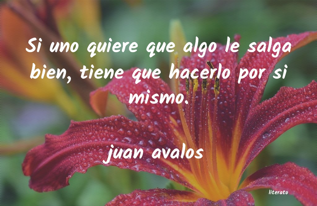 Frases de juan avalos