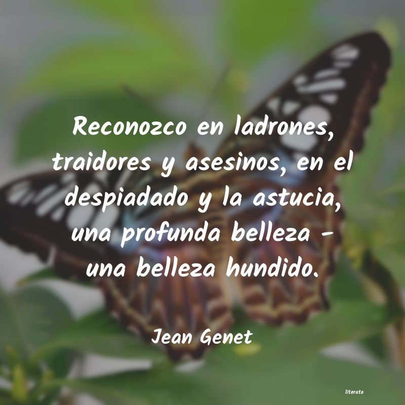 Frases de Jean Genet