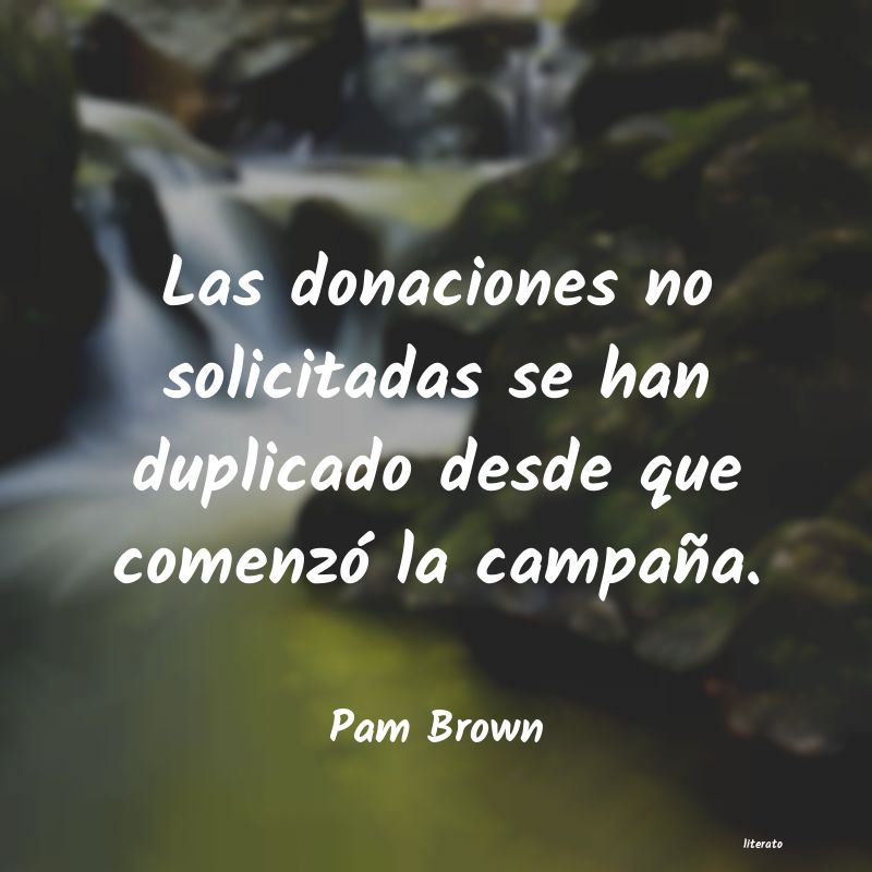 frases de Pam Brown