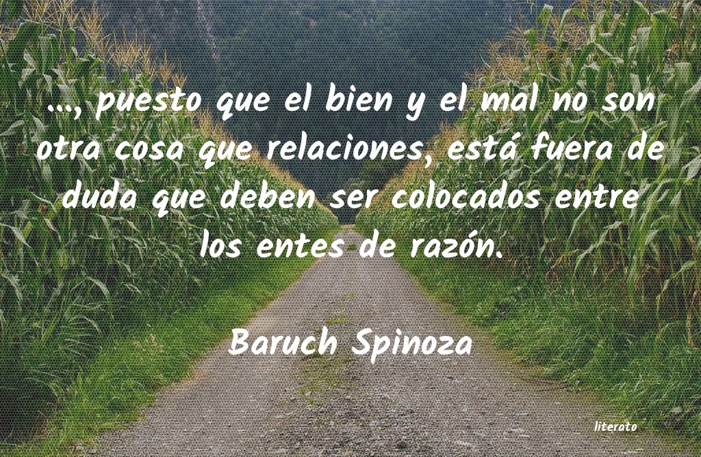 frases de Baruch Spinoza