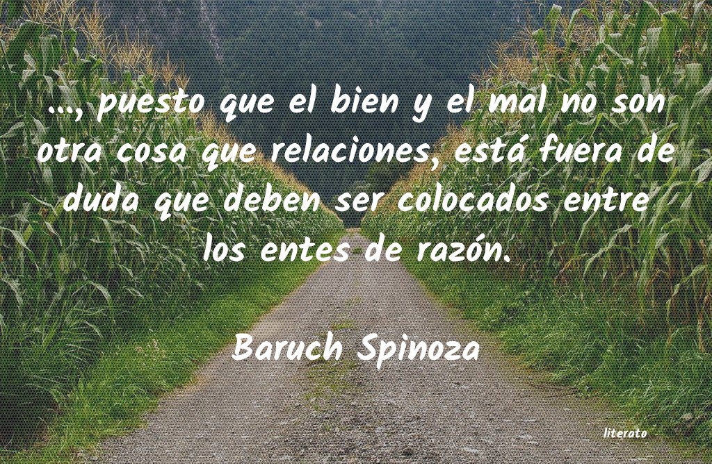 Frases de Baruch Spinoza