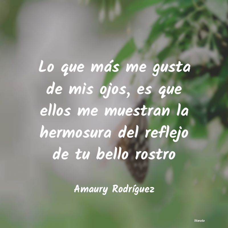 Frases de Amaury Rodríguez