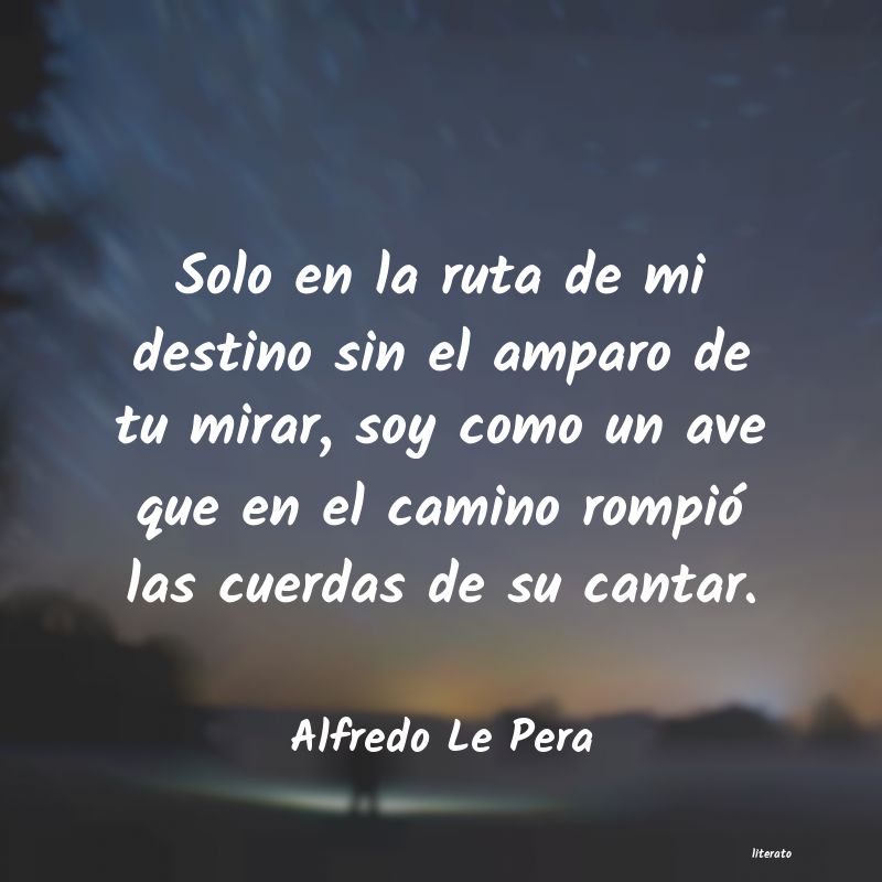 Frases de Alfredo Le Pera