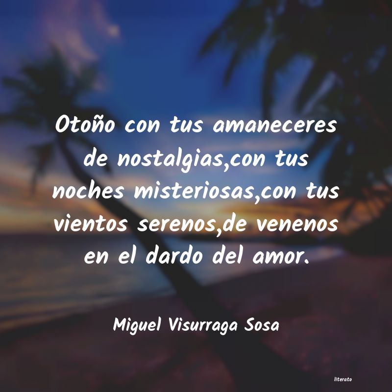 Frases de Miguel Visurraga Sosa