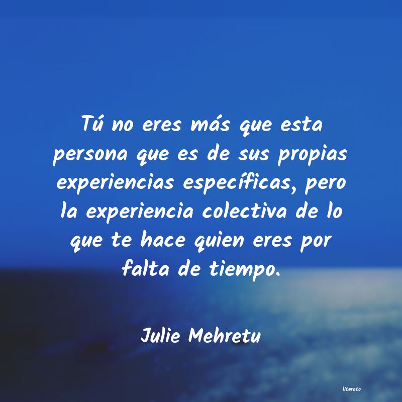 frases de Julie Mehretu