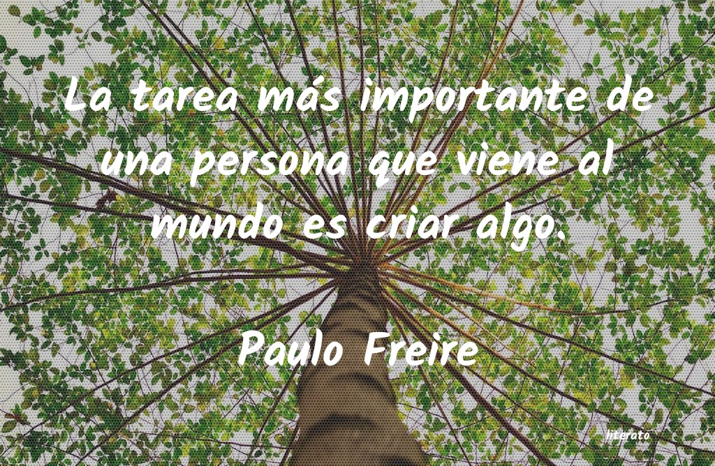 Frases de Paulo Freire