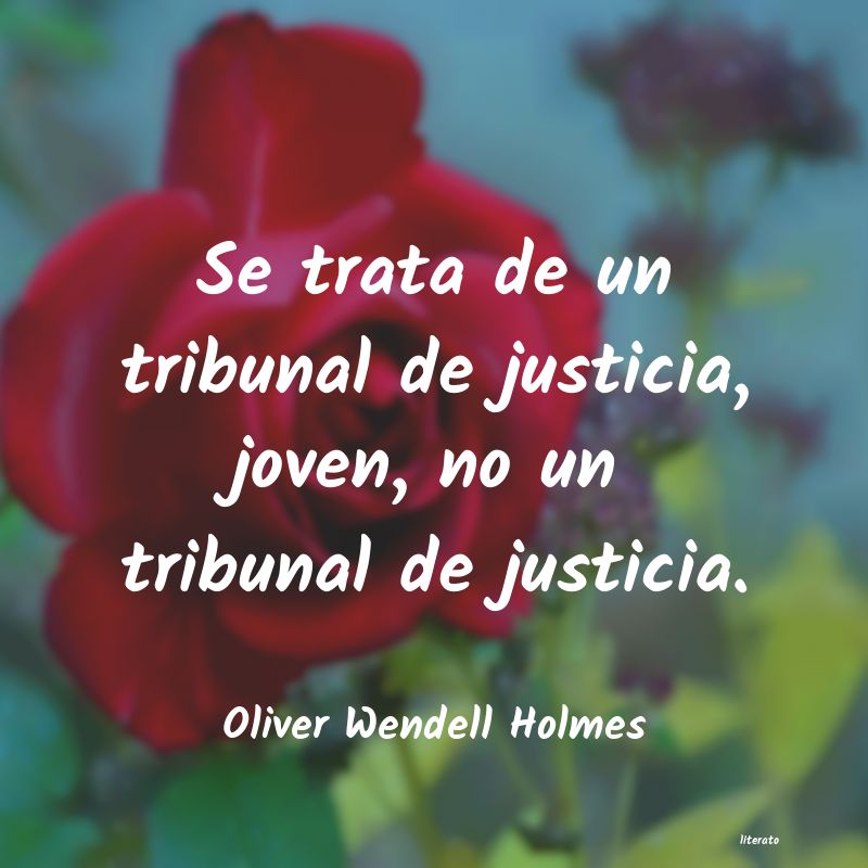 frases de Oliver Wendell Holmes