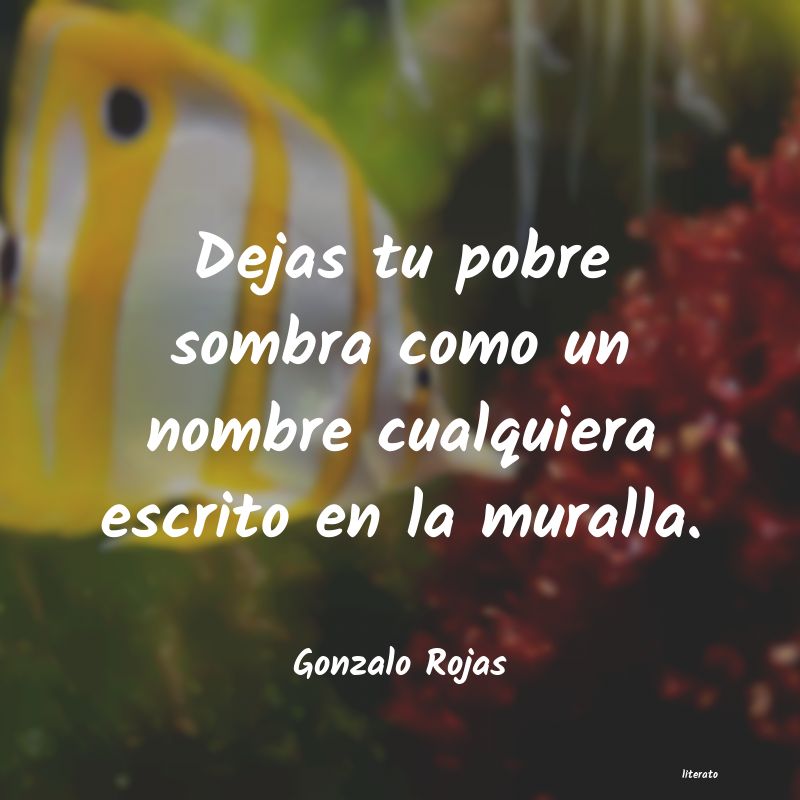 frases de Gonzalo Rojas